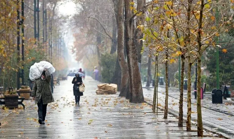 زمستان برگشت؛ تاتعطیلات منتظر بارش‌ دوباره برف و باران باشید

 