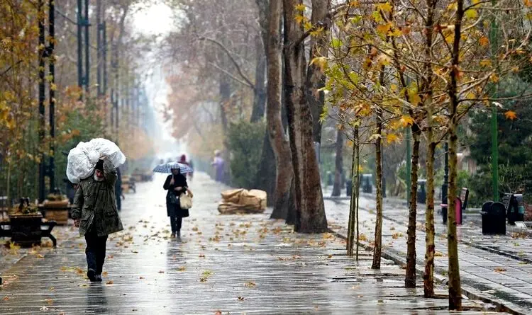زمستان برگشت؛ تاتعطیلات منتظر بارش‌ دوباره برف و باران باشید

 