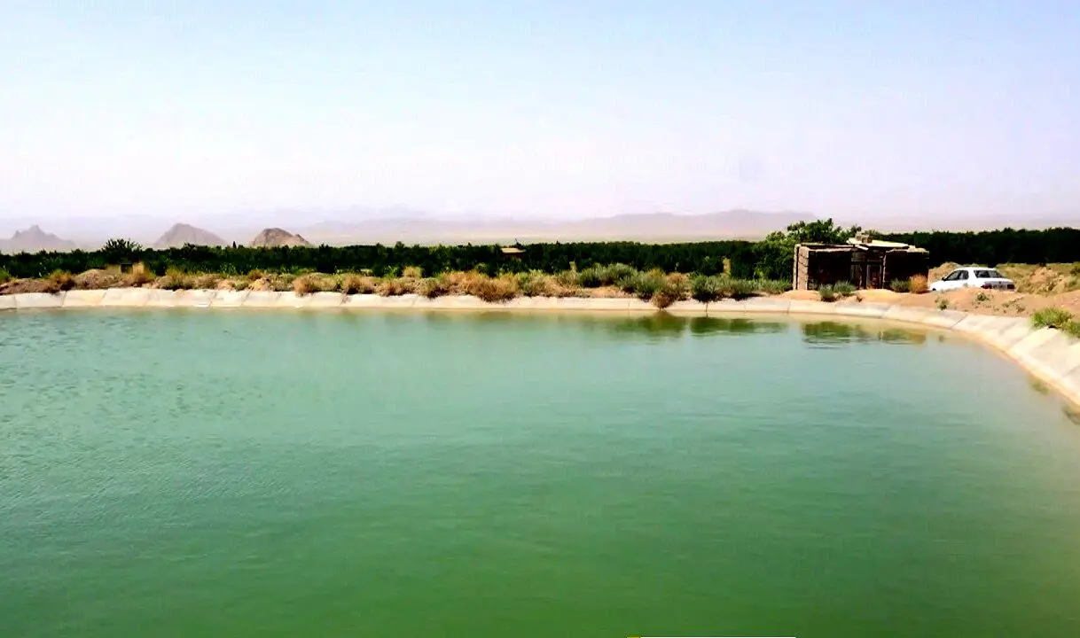 مرگ تلخ دختربچه 10 ساله در استخر پرورش ماهی | ماهی‌هایی که دنیا را به کام مرگ کشاندند

