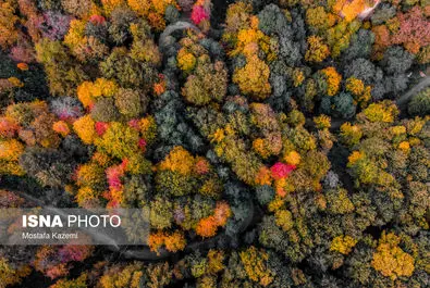ایران زیباست؛ جایی میان پاییز و زمستان
