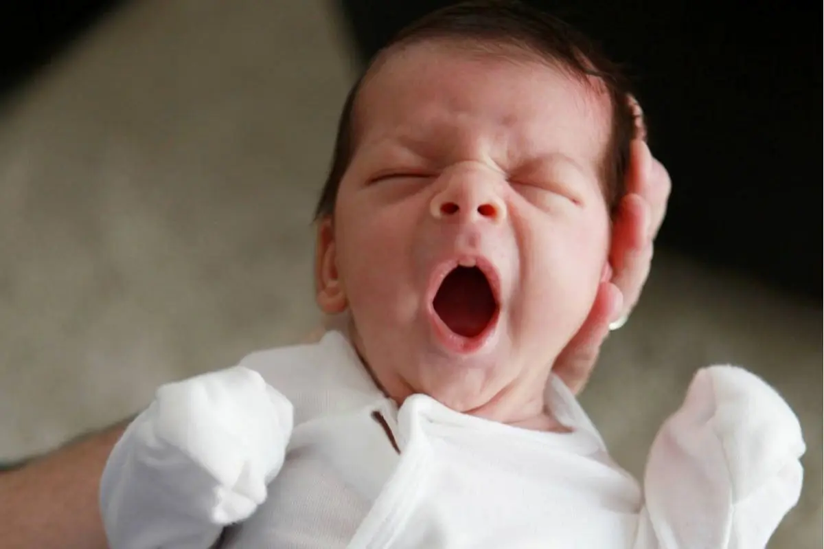 چرا نوزادان شب‌ها بیدارند روزها خواب؟