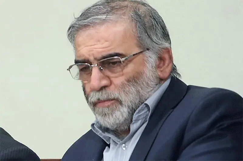 افشای عکسی از دو عامل ترور شهید هسته ای +جزئیات