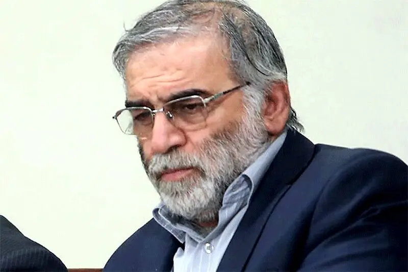 افشای عکسی از دو عامل ترور شهید هسته ای +جزئیات