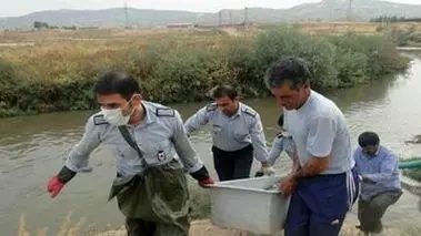کشف یک جسد با هویت نامشخص

