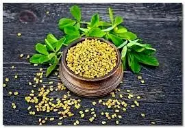 خواص شنبلیله برای مردان، بهبود عملکرد جنسی و تستوسترون!

