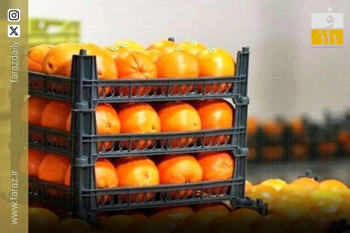 پرتغال نخوریم؟ ماجرای پرتقال سمی و رنگی در ایران+فیلم