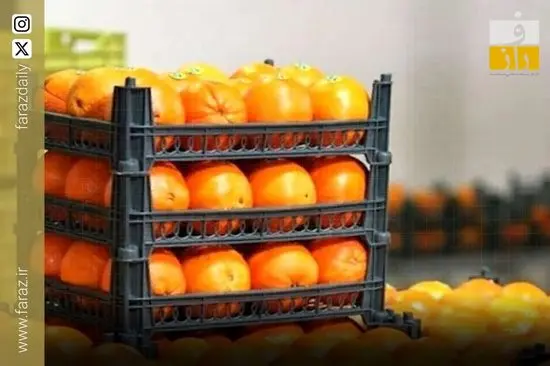 پرتغال نخوریم؟ ماجرای پرتقال سمی و رنگی در ایران+فیلم