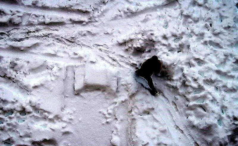 کشف جسد یخ‌زده کوهنورد جوان در توچال