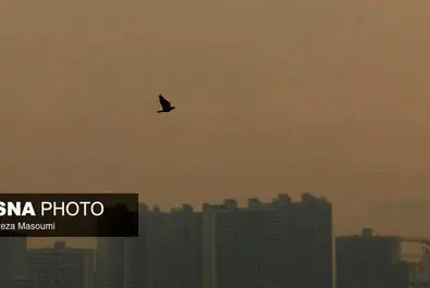 هشدار نارنجی هواشناسی برای تهران