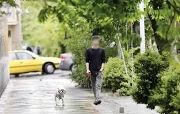 جریمه ۸۰ میلیونی برای نگهداری سگ، لاک‌پشت، خرگوش، گربه