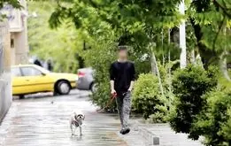 جریمه ۸۰ میلیونی برای نگهداری سگ، لاک‌پشت، خرگوش، گربه