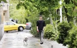 جریمه ۸۰ میلیونی برای نگهداری سگ، لاک‌پشت، خرگوش، گربه