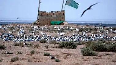 جزیره قبر ناخدا را بشناسید+عکس
