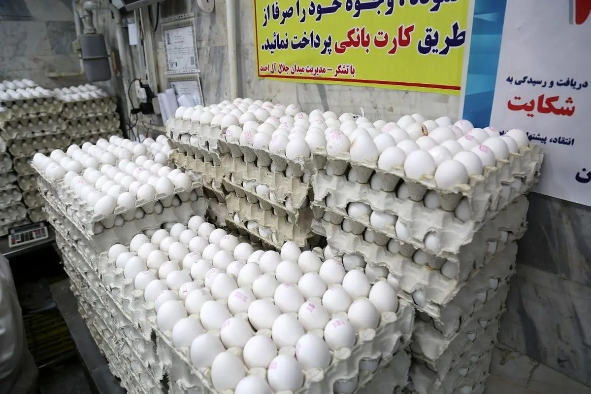 قیمت تخم مرغ امروز سه‌شنبه ۱۰ تیر ۱۴۰۴ + جدول