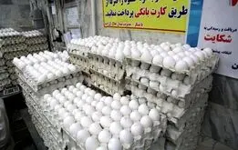 قیمت تخم مرغ امروز سه‌شنبه ۱۰ تیر ۱۴۰۴ + جدول
