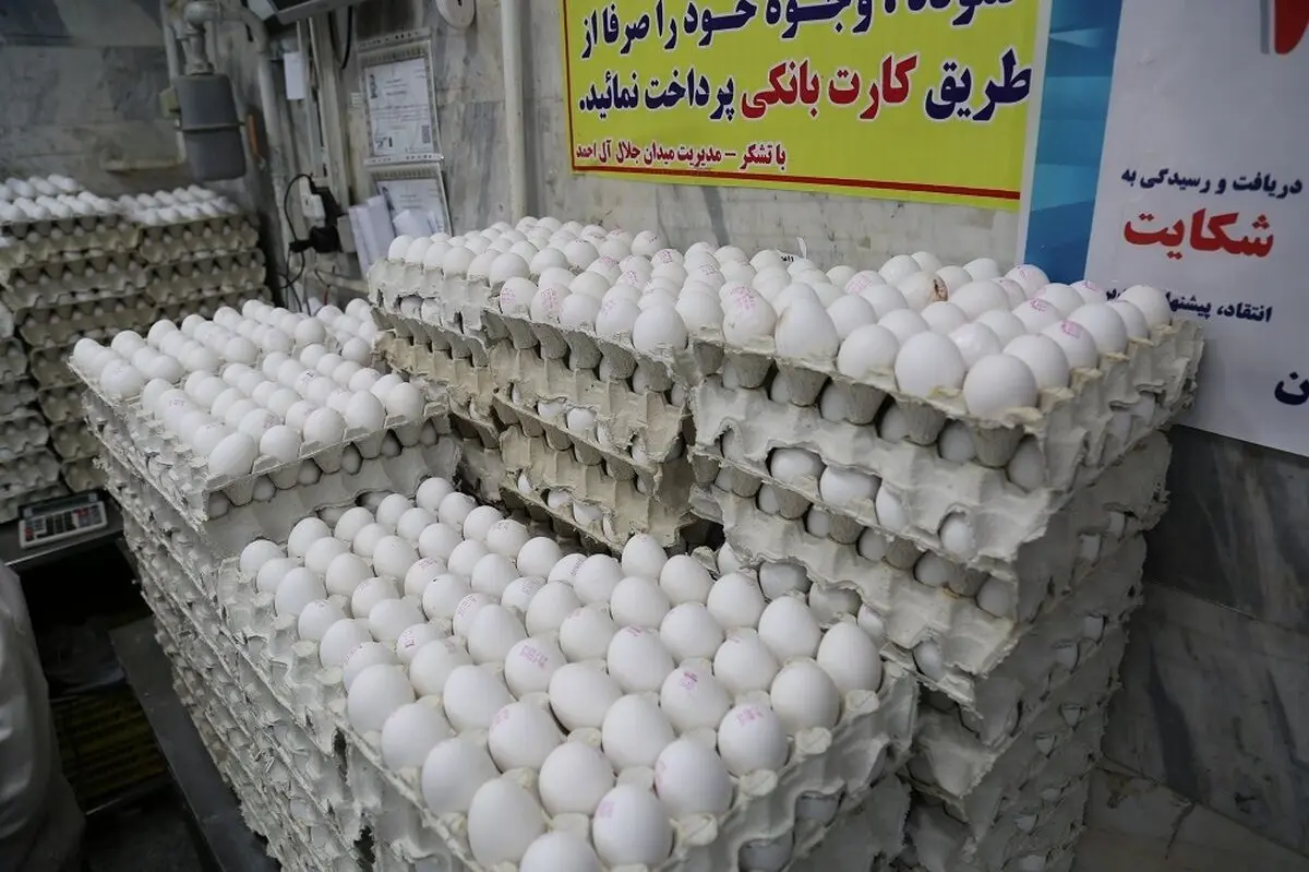 قیمت تخم مرغ امروز سه‌شنبه ۱۰ تیر ۱۴۰۴ + جدول
