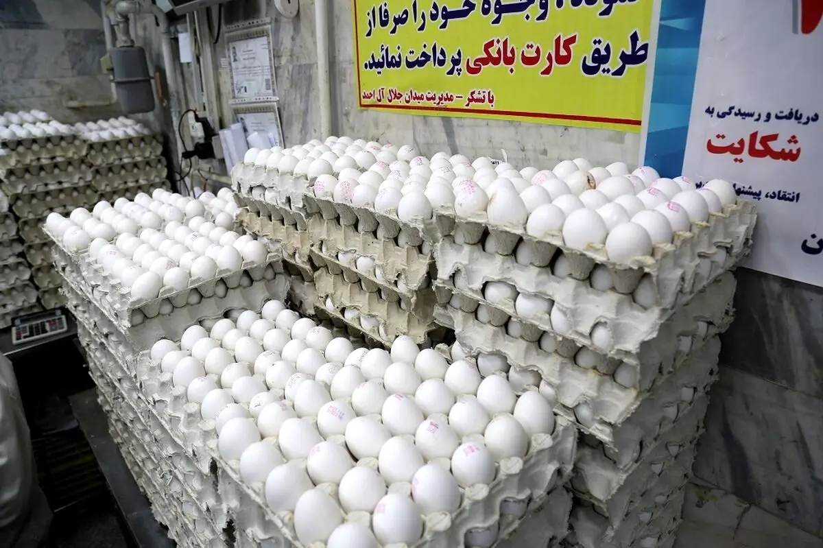 قیمت تخم مرغ امروز سه‌شنبه ۱۰ تیر ۱۴۰۴ + جدول
