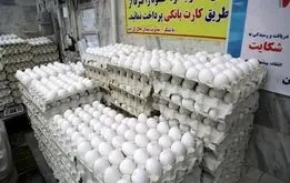 قیمت تخم مرغ امروز سه‌شنبه ۱۰ تیر ۱۴۰۴ + جدول