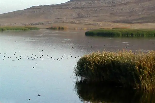 تالاب جازموریان دوباره جان گرفت