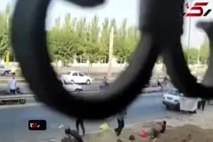  ویدئو/ نزاع هولناک  چند مرد افغانی در تهران
