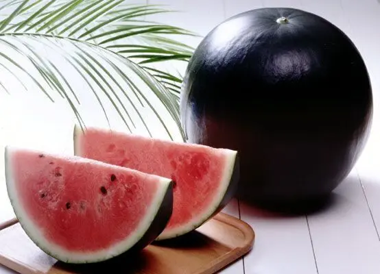چگونه هندوانه مسموم را تشخیص دهیم+ آموزش تست نیترات هندوانه