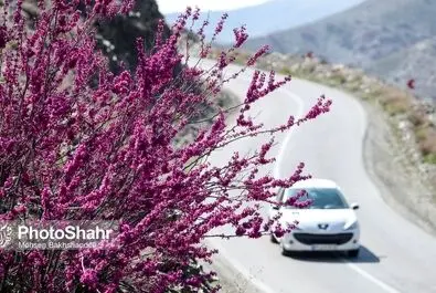 دره ارغوان