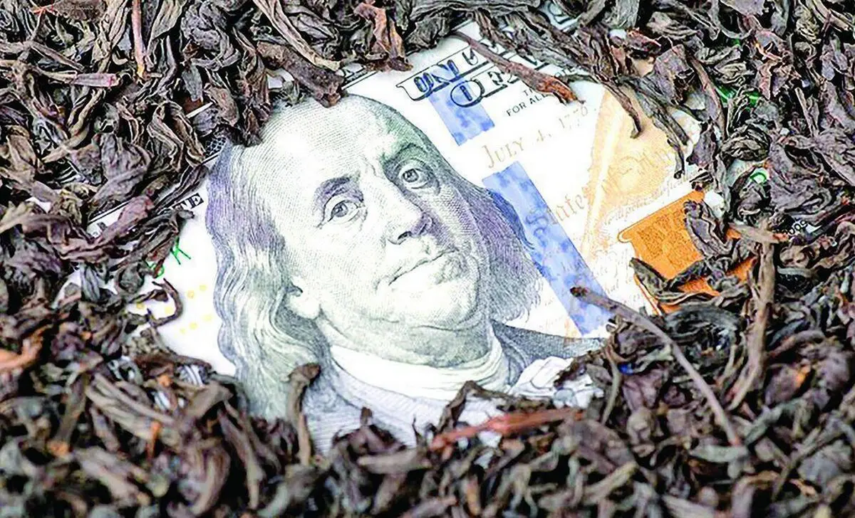با اختلاس چای دبش حقوق بازنشستگان چقدر افزایش می یافت؟ 