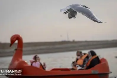 مهاجران اروپای شرقی به تهران آمدند