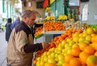 خبر خوش / میوه ارزان می‌شود