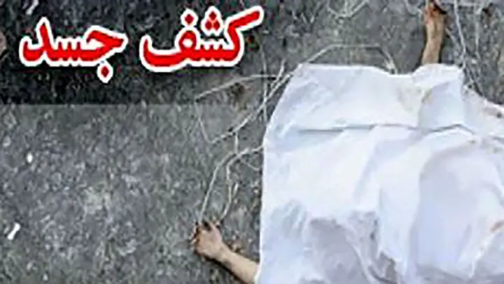 قتل وحشتناک زن جوان در شهرک ولیعصر/ کشف اعضای مثله شده بدن زن در نقاط مختلف