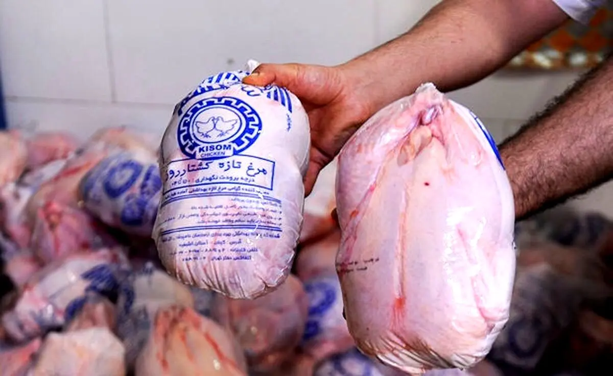 مرغ دوباره کمیاب شد!