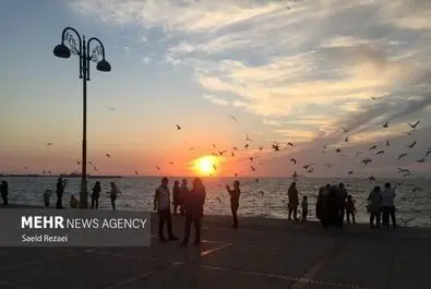 ساحل بوشهر