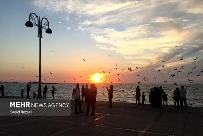 ساحل بوشهر