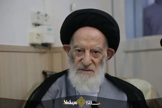 انتقادات جدید آیت الله شبیری زنجانی|روحانیون دنبال فعالیت اقتصادی نروند