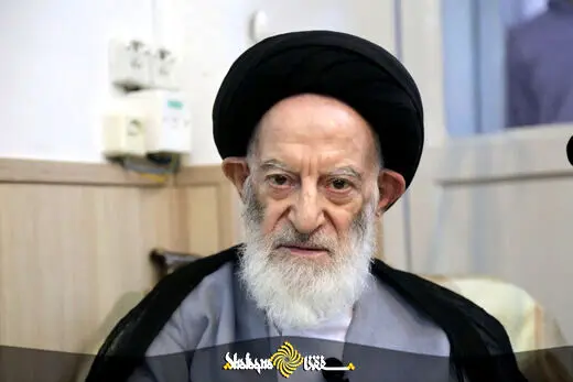 انتقادات جدید آیت الله شبیری زنجانی|روحانیون دنبال فعالیت اقتصادی نروند