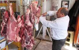 قیمت گوشت ترمز برید