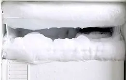 مواد غذایی که نباید در فریز بگذارید