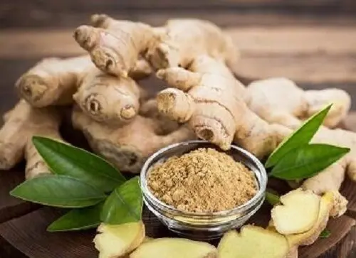 کدام دمنوش‌ها تشنگی روزه داران را کاهش می‌دهد؟