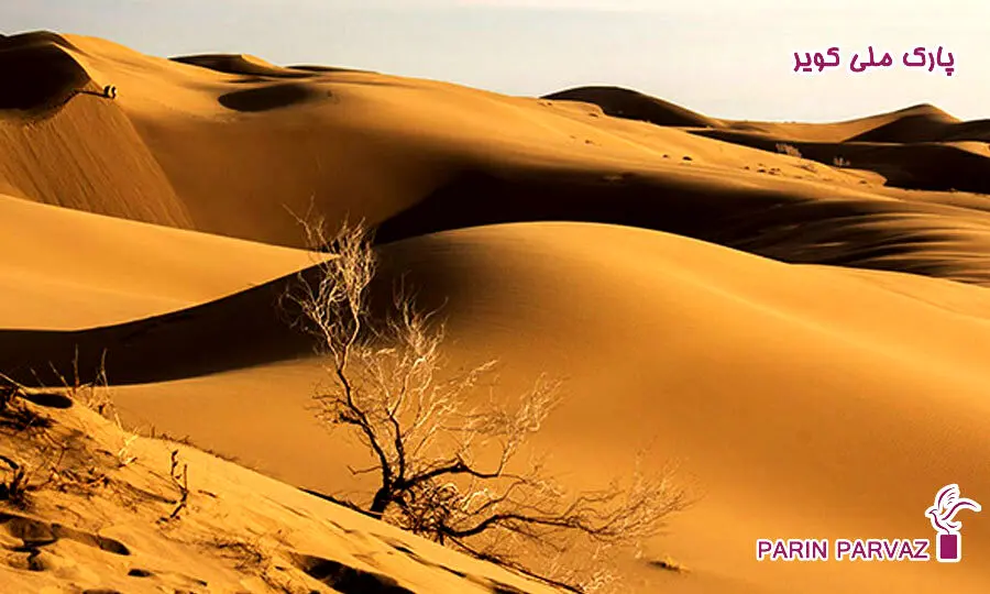 آفریقای کوچک ایران کجاست؟