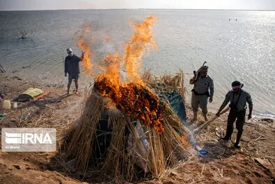 نگهبانان تالاب هورالعظیم