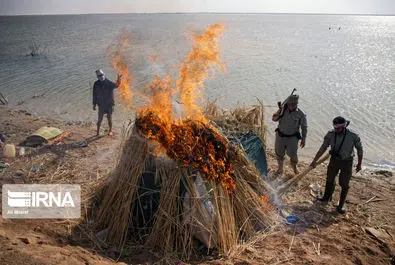 نگهبانان تالاب هورالعظیم