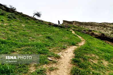 دره ارغوان