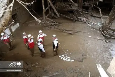 سیل در کن