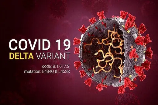 ویروس کرونای جدید چقدر خطرناک است؟
