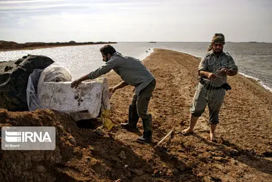 نگهبانان تالاب هورالعظیم