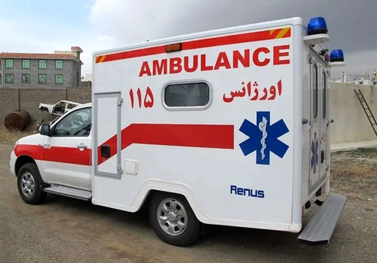 سگ‌های ولگرد گلوی کودک ۴ ساله را پاره کردند
