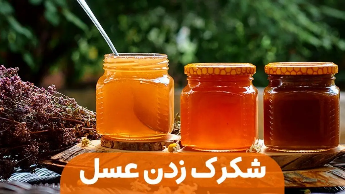دلیل شکرک زدن عسل چیه؟ | ترفندهای رفع شکرک زدن عسل در خانه

