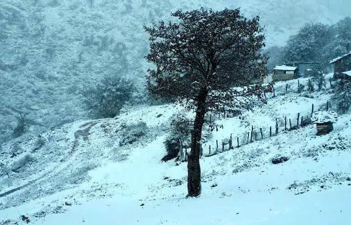 برف مهمان بهاره مازندران شد
