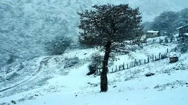 پیش‌بینی هواشناسی؛ این مناطق برفی می‌شوند