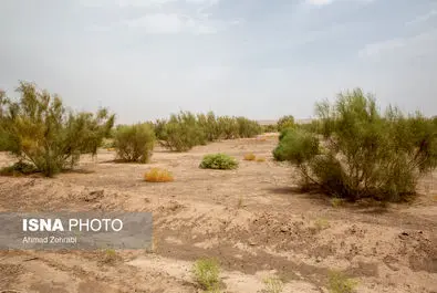 گرد و خاک